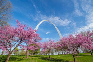 family friendly activities in St. Louis